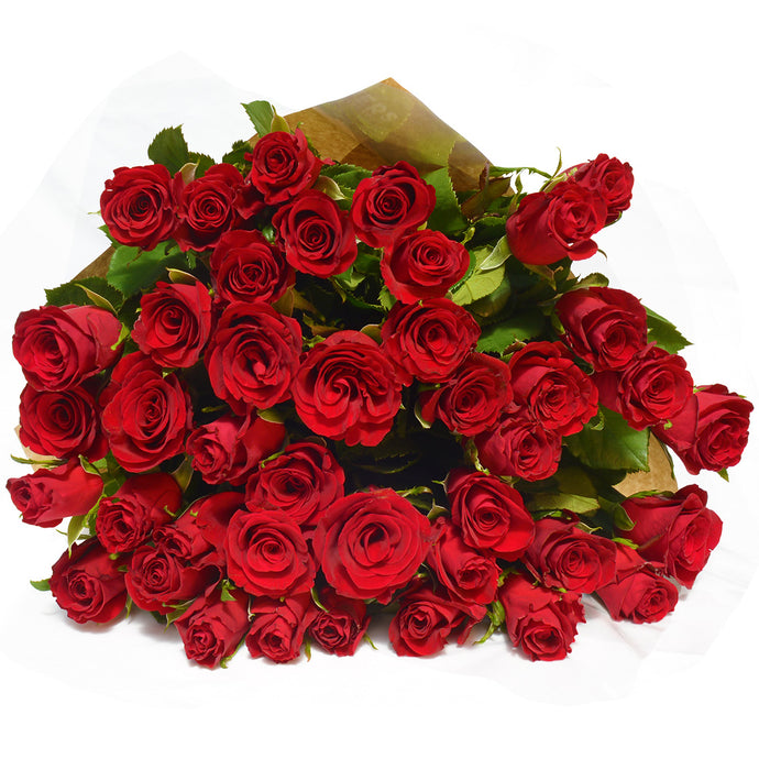Fragrance Romantic Rose 50mls