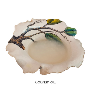 Coconut Oil  Refined  500 mls